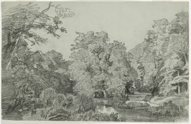 Woodland Scene with Brook